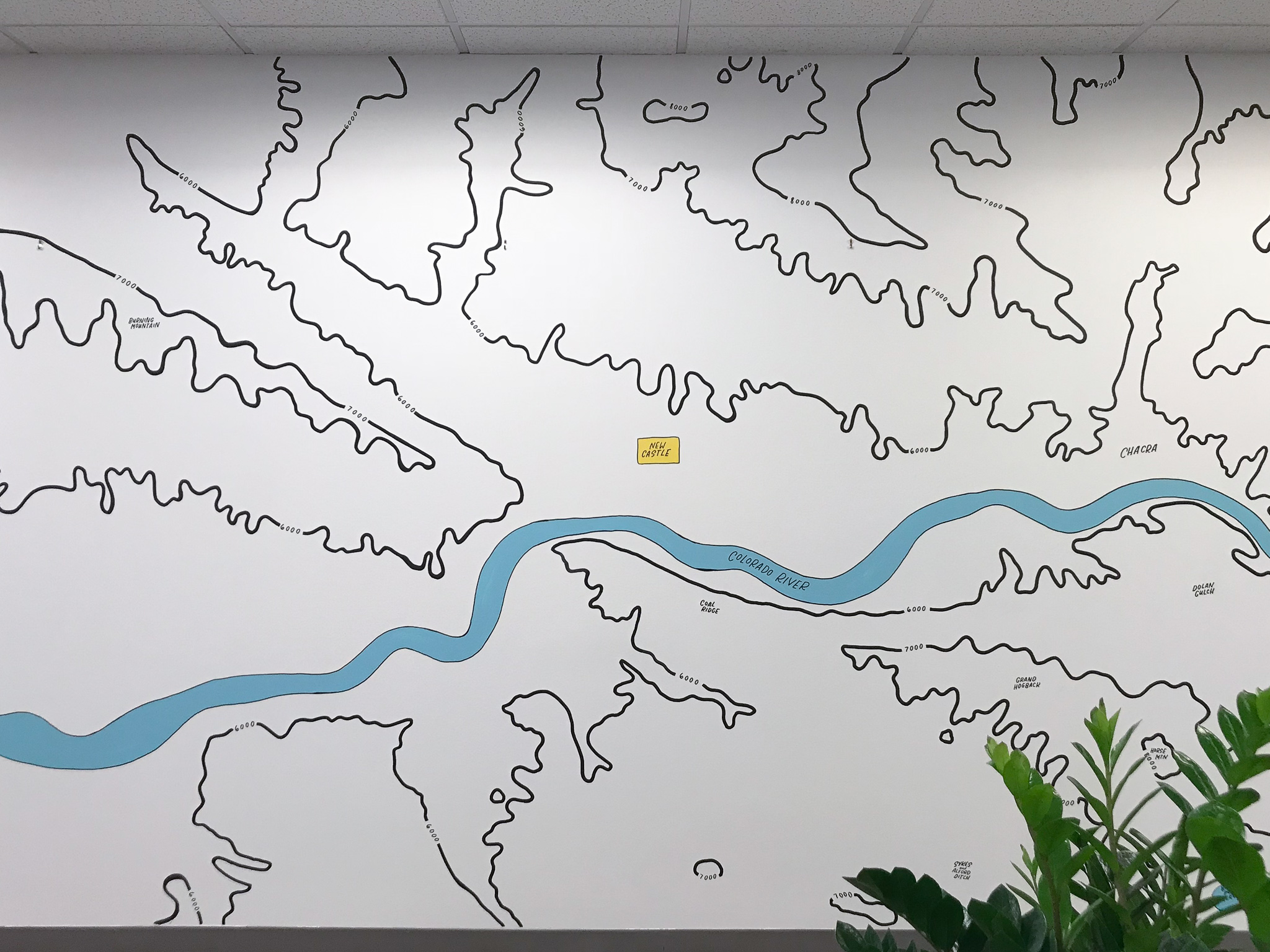 Gusto Denver Colorado River Topographic Map Mural
